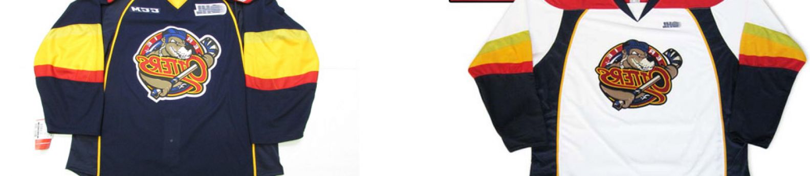 Erie Otters 2024 Tickets | Ticketsn.com